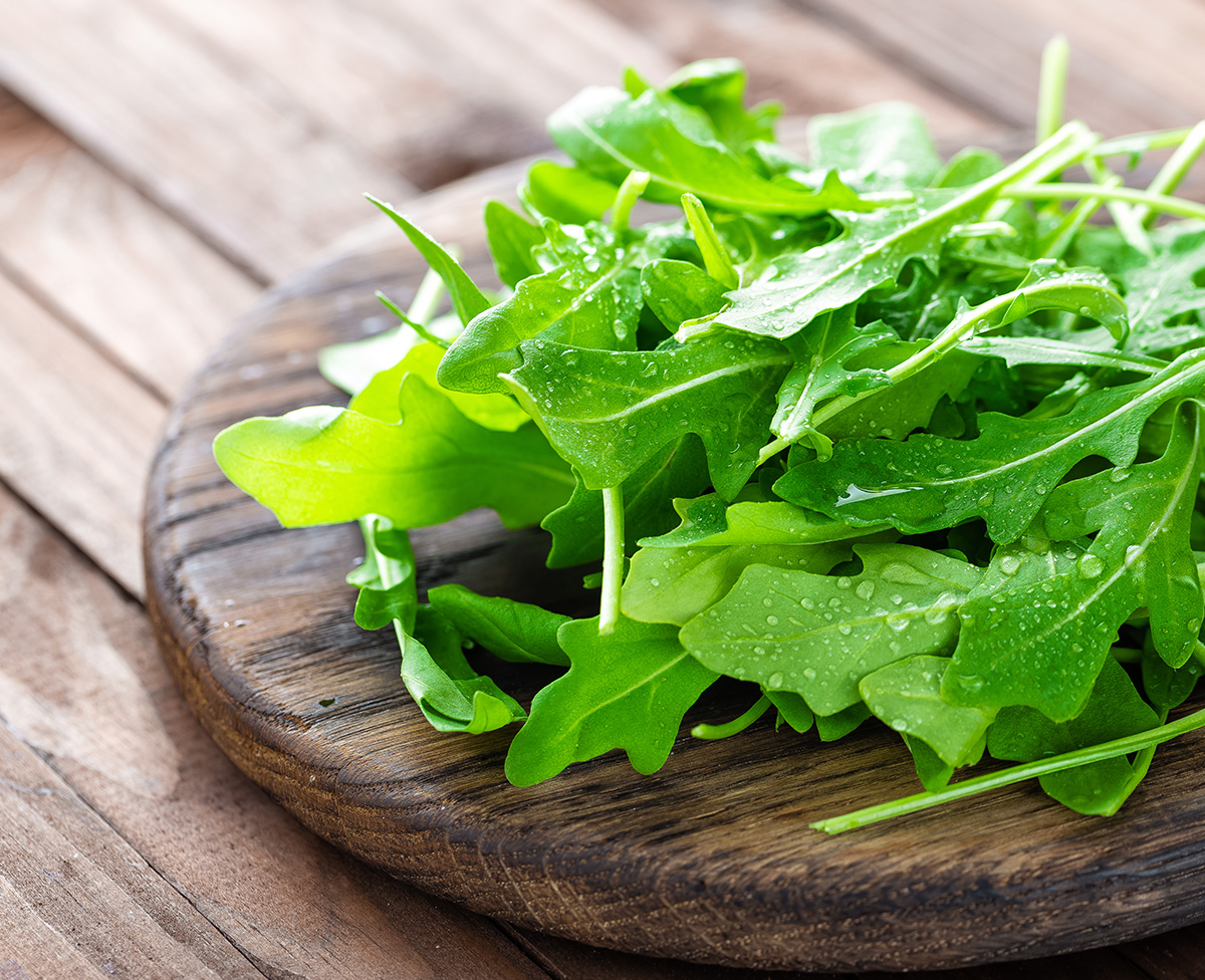 Arugula Roquette Herb